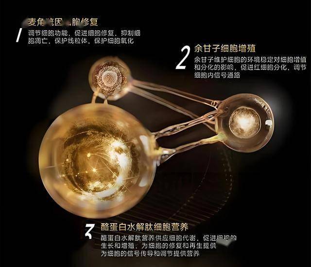实时外汇动向大揭秘：今天的汇率波动如何作用理财决策？